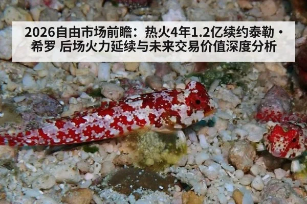 2026自由市场前瞻:热火4年1.2亿续约泰勒·希罗 后场火力延续与未来交易价值深度分析