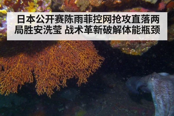 日本公开赛陈雨菲控网抢攻直落两局胜安洗莹 战术革新破解体能瓶颈