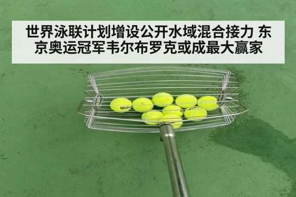 世界泳联计划增设公开水域混合接力 东京奥运冠军韦尔布罗克或成最大赢家